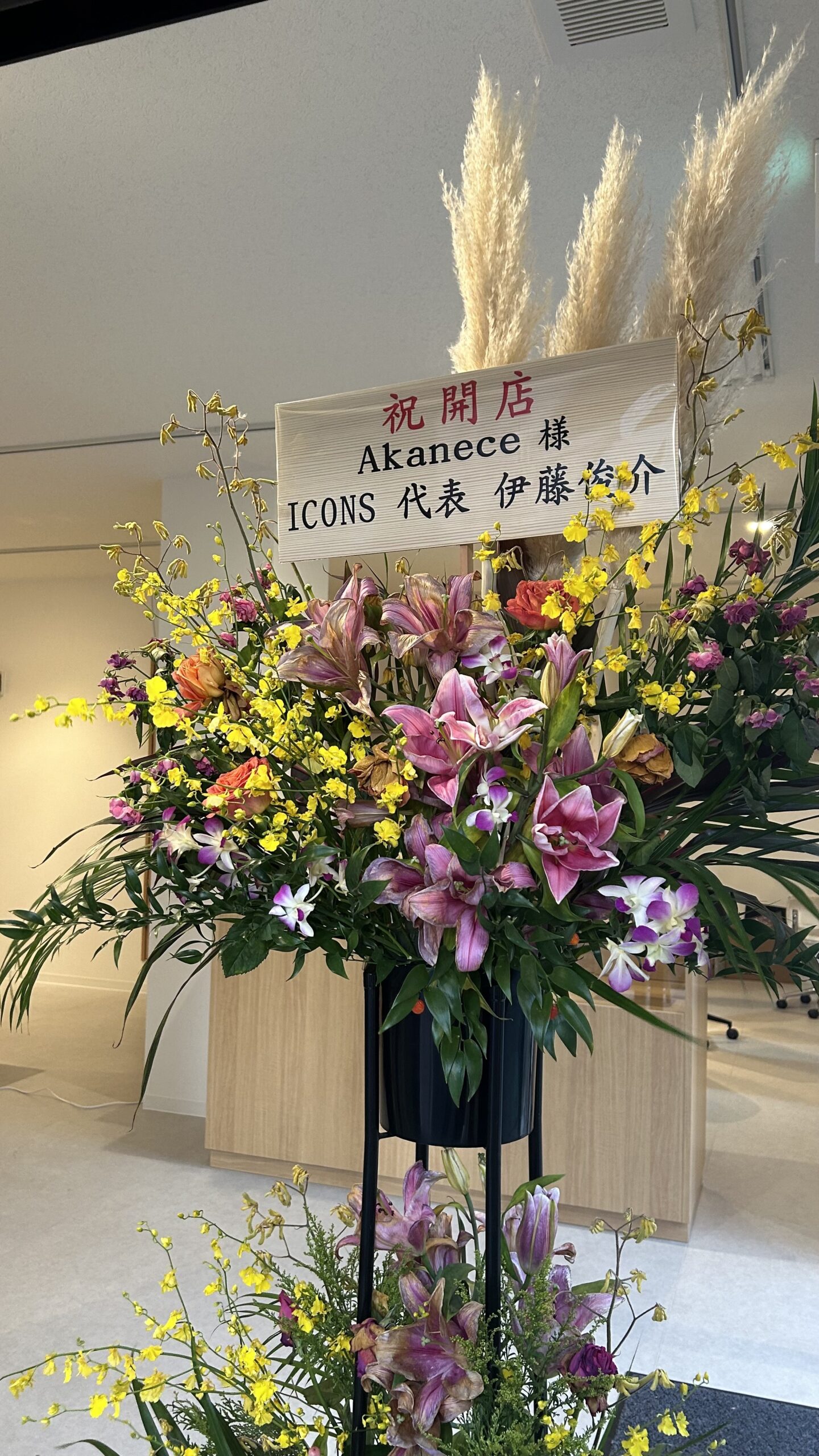 アカネス大宮店